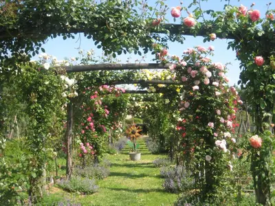 Giardino di Maso Di Villa Relais di Campagna