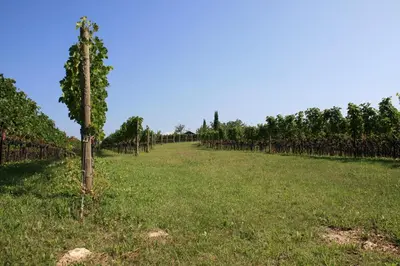 Giardino di Maso Di Villa Relais di Campagna