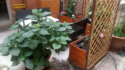Giardino di San Giorgio degli Schiavoni