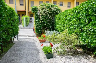 Giardino di B&B Il Glicine Fiorito