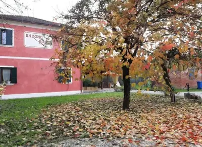 Planimetria di AGRITURISMO Barone Rosso