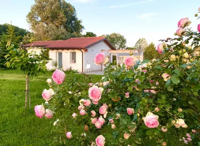 Giardino di Pool & Garden Villa Lelia