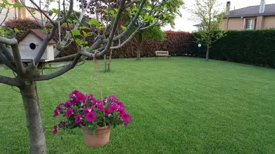 Giardino di Il Farfasole