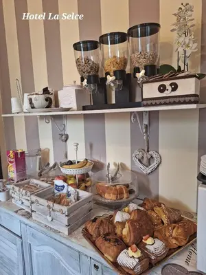 Cibo presso l'hotel o nelle vicinanze