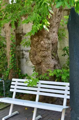 Planimetria di Hotel Casa Mia