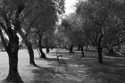Planimetria di Hotel Villa Ca' Sette