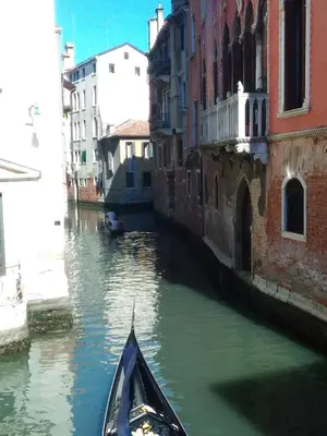 Vista sul fiume nelle vicinanze dell'appartamento