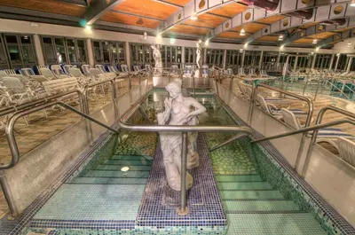 Altri animali domestici presso l'hotel o nei dintorni