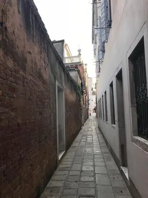 Il quartiere o una zona nella vicinanze dell'appartamento