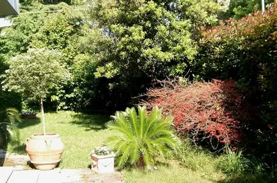 Giardino di B&B Casa Boscolo
