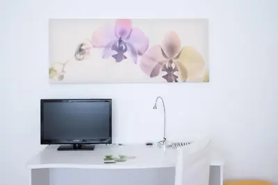 TV o dispositivi per l'intrattenimento presso B&B BrentaGiardino