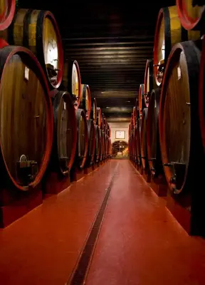 Planimetria di Castello di Roncade