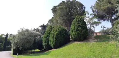 Giardino di Villa Del Poeta