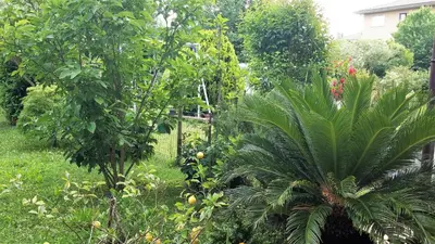 Giardino di Venice Airport Room