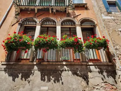 Edificio in cui si trova il bed & breakfast