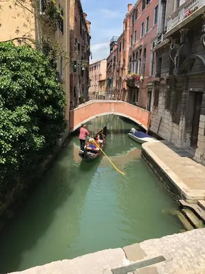 Vista sul fiume nelle vicinanze dell'appartamento