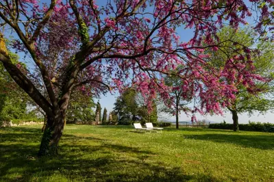 Giardino di Il Castello