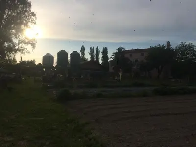 Giardino di Pecore Ribelli