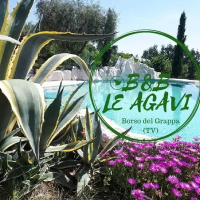 B&B LE AGAVI