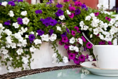 Planimetria di B&B Arabesque
