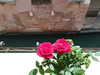 Vista sul fiume nelle vicinanze dell'appartamento