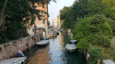 Vista sul fiume nelle vicinanze dell'appartamento