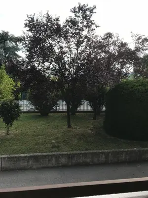 Giardino di Casa Martini Abano