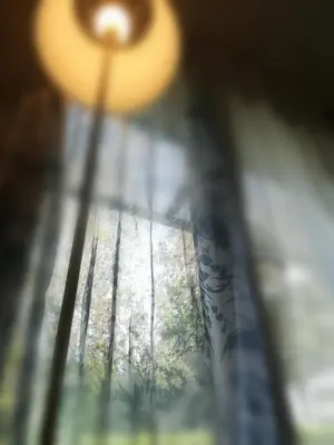 Planimetria di La Libellula