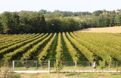 Planimetria di Caspineda Agriturismo