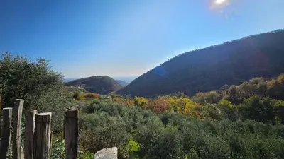 Paesaggio naturale nelle vicinanze del bed & breakfast