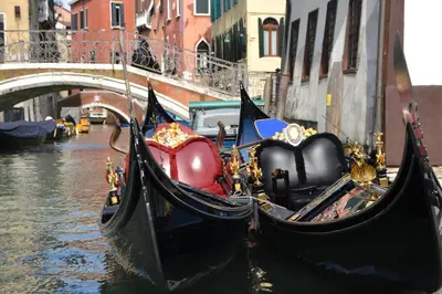 Vista sul fiume nelle vicinanze dell'appartamento