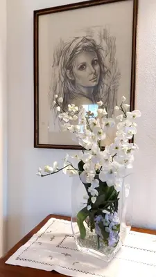 Planimetria di Castagnole Apartment