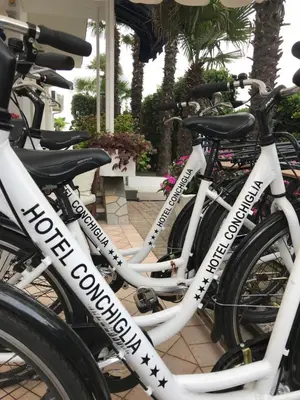 Attività di ciclismo presso l'hotel o nelle vicinanze