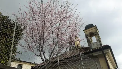 Edificio in cui si trova l'appartamento