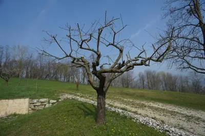 Paesaggio naturale nelle vicinanze del bed & breakfast