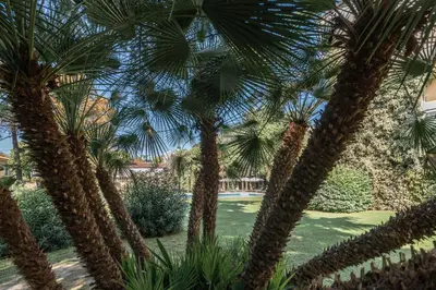 Giardino di Blue Dream Hotel