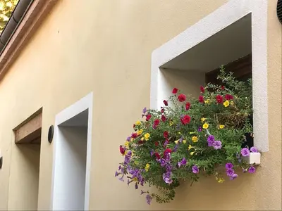 Giardino di Little Canal 14