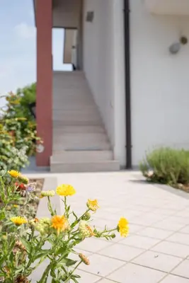Planimetria di B&B Al Piovego