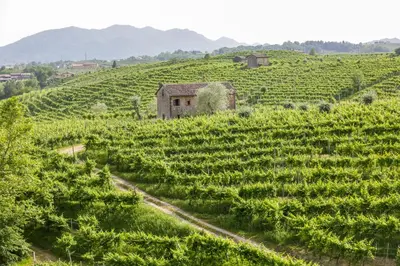 Paesaggio naturale nelle vicinanze dell'agriturismo