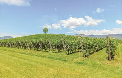 Paesaggio naturale nelle vicinanze della casa vacanze