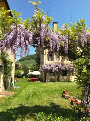 Giardino di Fiori&vigne di Cecilia Marcon