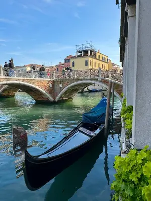 Vista sul fiume nelle vicinanze dell'affittacamere