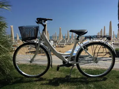 Attività di ciclismo presso l'hotel o nelle vicinanze
