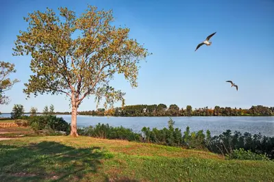 Paesaggio naturale nelle vicinanze dell'appartamento