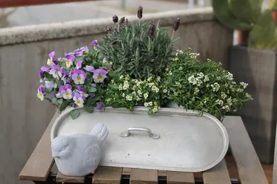 Planimetria di Un sogno B&B