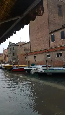 Vista sul fiume nelle vicinanze dell'appartamento