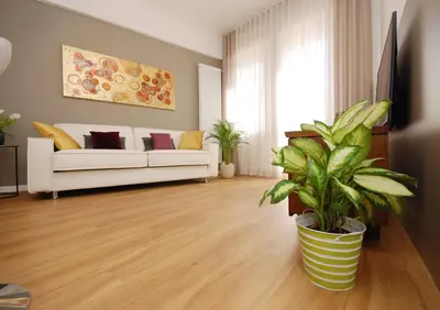TV o dispositivi per l'intrattenimento presso Suite Manin