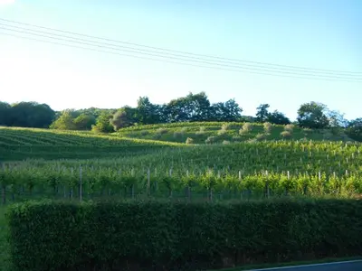 Paesaggio naturale nelle vicinanze dell'agriturismo