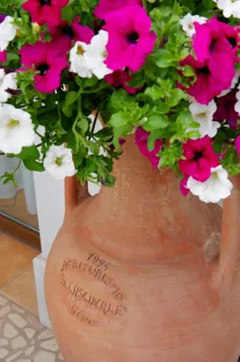 Planimetria di Agriturismo il Cascinale