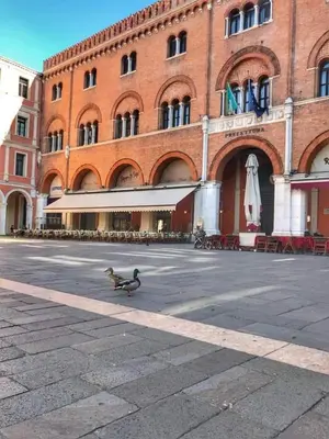 Edificio in cui si trova l'appartamento
